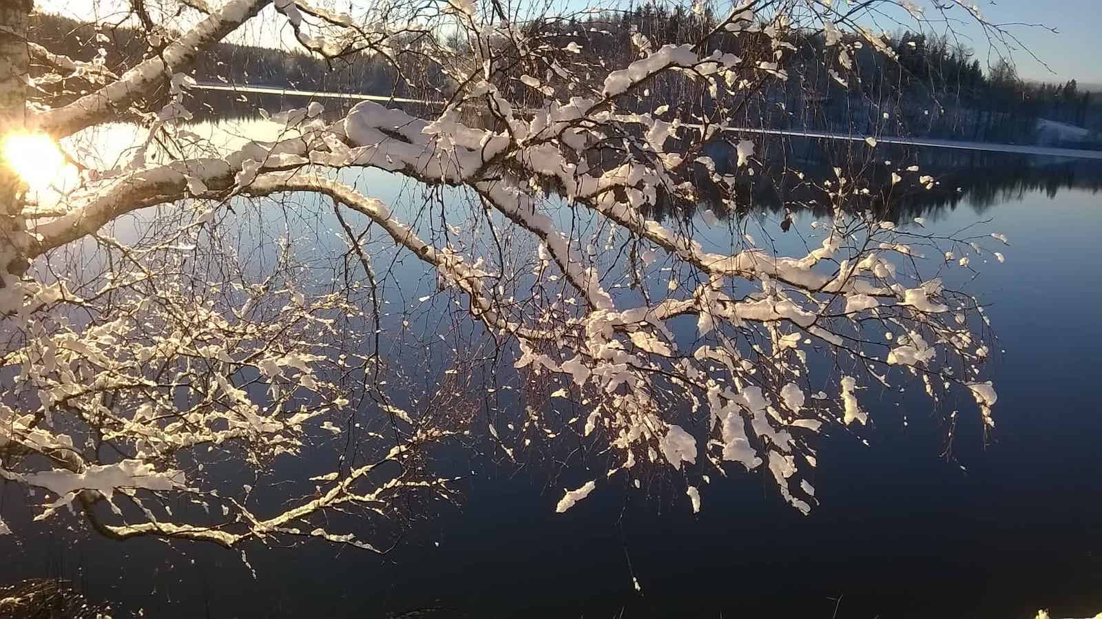 WP_20151214_13_49_23_Pro