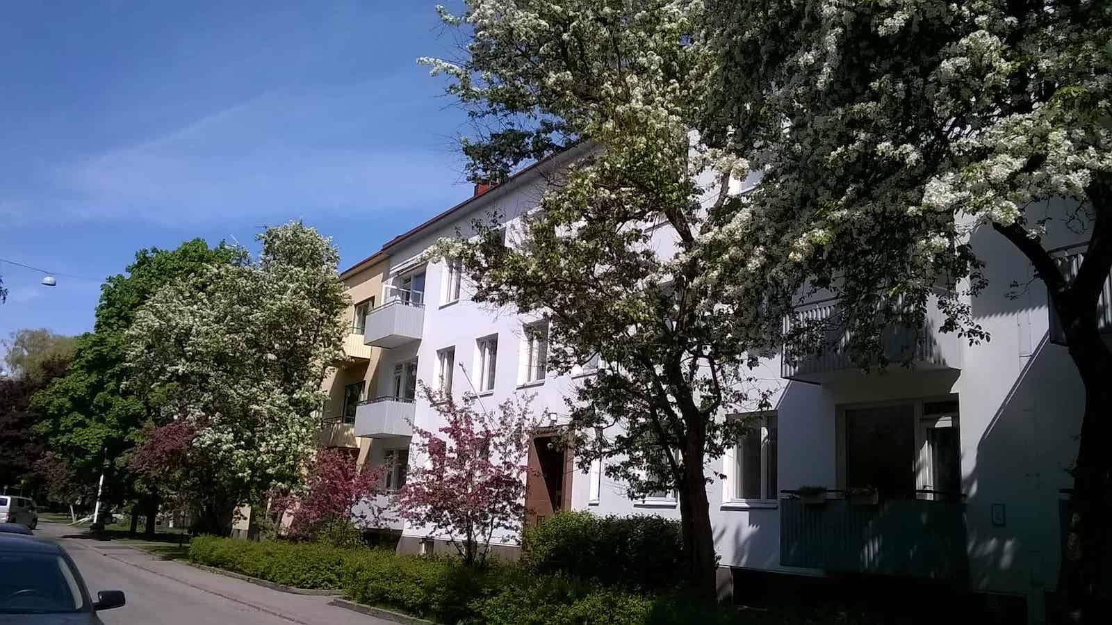 WP_20160523_14_20_12_Pro (2)